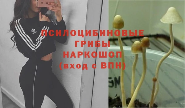 бутират Новозыбков
