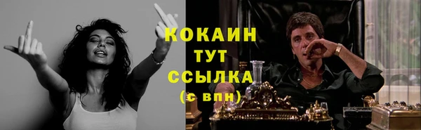 PSILOCYBIN Янаул
