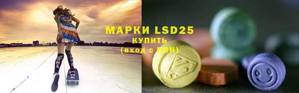 PSILOCYBIN Янаул
