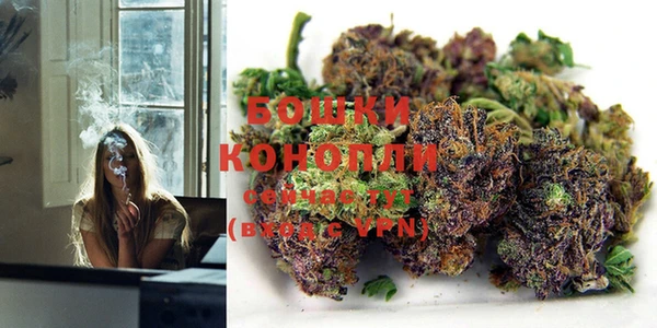 PSILOCYBIN Янаул