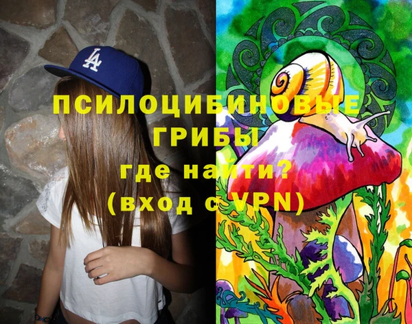 соль ск Яранск
