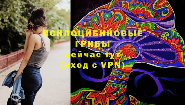 соль ск Яранск