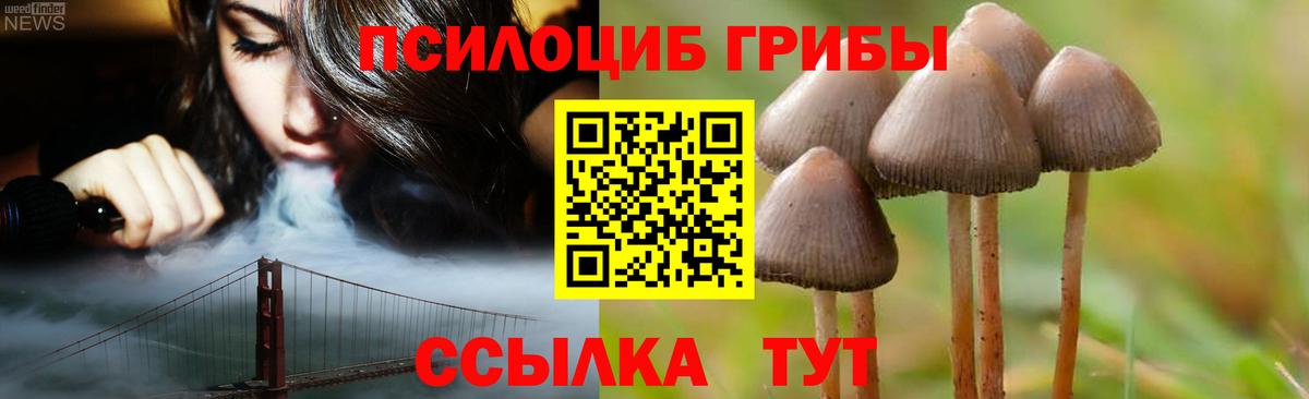 Псилоцибиновые грибы прущие грибы  Галлюциногенные грибы Magic Shrooms  Владимир  Вход с VPN 